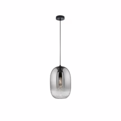 Fischer & Honsel Hanglamp Gerookt Glas ⌀25cm E27 60w