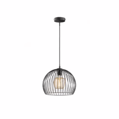 Fischer & Honsel Hanglamp Zwart ⌀30cm E27 40w