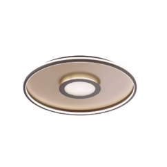 Fischer & Honsel Plafondlamp Bug Goud Rond 42w