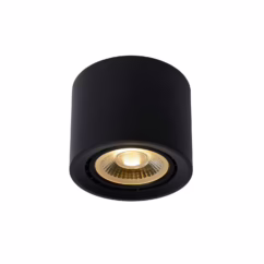 Lucide Plafondlamp Fedler - Zwart - 12cm - 12w