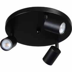 Masterlight Zwarte