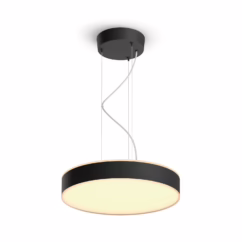 Philips Hue Hanglamp Enrave Zwart ⌀42,5cm 33,5w Met Hue Dimmer Switch