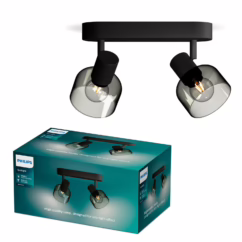 Philips Opbouwspot Sleet Zwart 2xe14