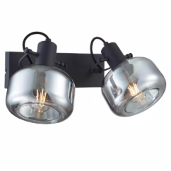 Steinhauer Dubbele wandlamp Glaslic smoke glas 3865ZW