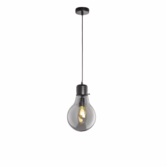 Fischer & Honsel Hanglamp Louis E27 Zwart