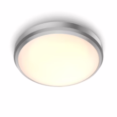 Philips Plafondlamp Doris Nikkel Klein 6w