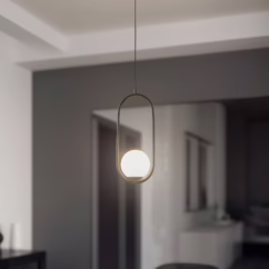 ALDEX Dione pendant light, 1-bulb, black/white