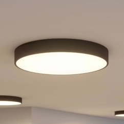 Arcchio LED ceiling lamp Noabelle, ⌀ 80 cm, black, metal