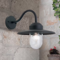 ORION Edward outdoor wall light in vintage style, anthracite