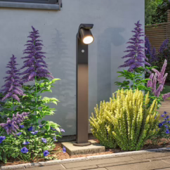 Paulmann LED