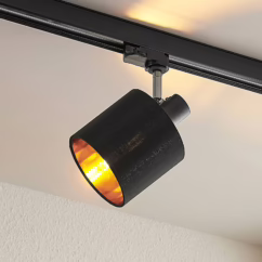Arcchio Heleni Spot track lighting system black gold