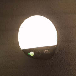 OSRAM SMART+ WiFi outdoor wall lamp ROUND, camera, sensor, grey