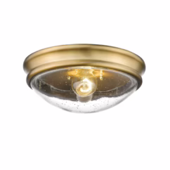 1-Light Ceiling Light in Heirloom Bronze