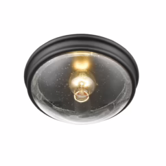 1-Light Ceiling Light in Matte Black