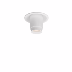 1-Light Recessed Light with Adjustable Head in White