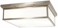 20" Ceiling Light in Brushed Nickel