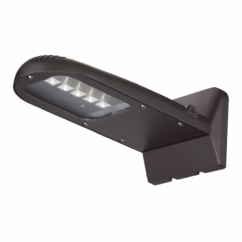 23250 1-Light Wall Sconce in Bronze