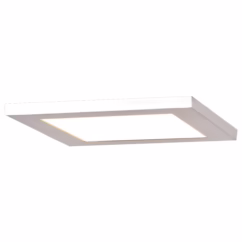 Access Boxer 10" Ceiling Light in White