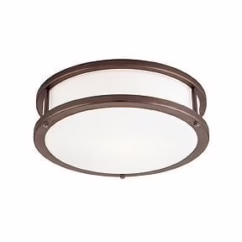 Access Conga 3-Light Ceiling Light in Bronze
