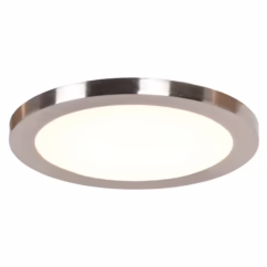 Access Disc Ceiling Light in Brushed Steel