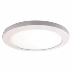 Access Disc Ceiling Light in White
