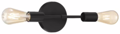 Access Iconic 2-Light Wall Sconce in Matte Black