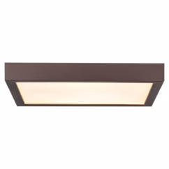 Access Ulko Exterior 1" Outdoor Ceiling Light in Bronze