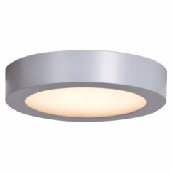 Access Ulko Exterior Outdoor Ceiling Light in Silver