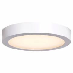 Access Ulko Exterior Outdoor Ceiling Light in White