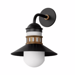 Admiralty 1-Light Outdoor Wall Sconce in Black with Antique Brass