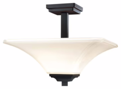 Agilis 2-Light 16" Ceiling Light in Black