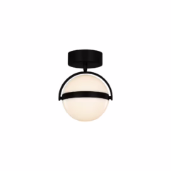 Alora Globo Ceiling Light in Matte Black - FM301001MB