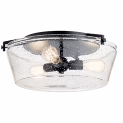 Alton 3-Light Ceiling Light in Black
