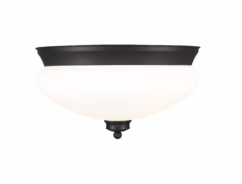 Amon 2-Light Flush Mount Ceiling Light In Matte Black