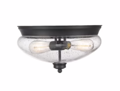 Amon 2-Light Flush Mount Ceiling Light In Matte Black