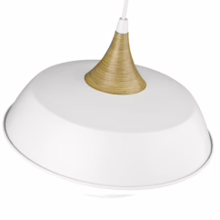 Arlo 1-Light