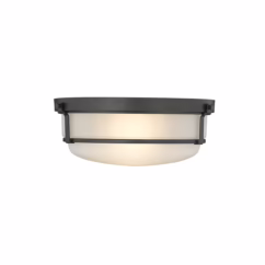 Arlson 2-Light Flushmount Ceiling Light In Matte Black