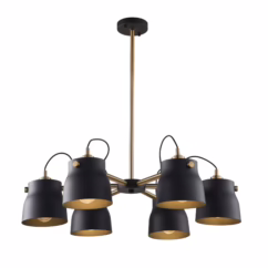 Artcraft Euro Industrial 6-Light Chandelier in Matte Black & Harvest Brass
