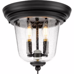 Ashmore 2-Light Close to Ceiling in Textured Black