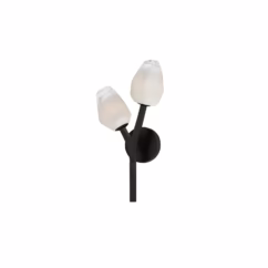Blossom 2-Light LED Wall Sconce in Black