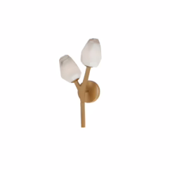 Blossom 2-Light LED Wall Sconce in Natural Aged Brass