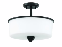 Bolden 2-Light Ceiling Light in Flat Black