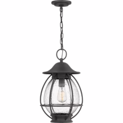 Boston 1-Light Outdoor Hanging Lantern in Mottled Black