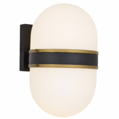 Brian Patrick Flynn for Capsule 13" Outdoor Wall Light in Black And Gold