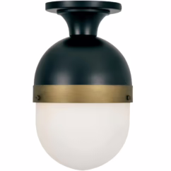 Brian Patrick Flynn for Capsule 14" Outdoor Ceiling Light in Black And Gold