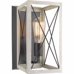 Briarwood 1-Light Wall Sconce in Graphite