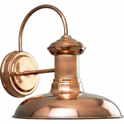Brookside 1-Light Wall Lantern in Cognac