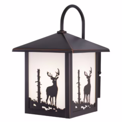 Bryce 1-Light Outdoor Wall Mount in Burnished Bronze