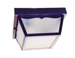 Builder's Choice 2-Light Matte Black Ceiling Light
