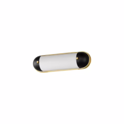 Capsule 1-Light LED Bathroom Vanity Light in Black with Natural Aged Brass